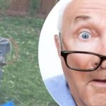 Dziwne znalezisko w pobliżu drzewa sprawiło, że sąsiadka zastanawiała się,