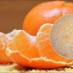 Jak przechowywać pomarańcze przez sześć miesięcy: sekret gotowania