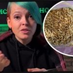 Jak wybrać rośliny cydru i zaskoczyć sąsiadów zbiorami: ogrodnik udzielił skutecznych wskazówek Jak wybrać rośliny cydru i zaskoczyć sąsiadów zbiorami: ogrodnik udzielił