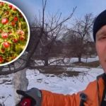 Odmładzanie starych drzew owocowych: trzy proste kroki, które przywrócą plony