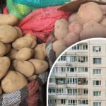 Połóż to na ziemniaku: łatwy sposób na zachowanie warzyw na